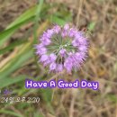 Have A Good Day~~♥ 이미지