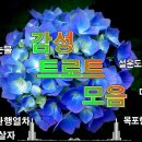 감성 트로트 모음 KPOP (TROT) PLAYLIST 이미지