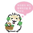 [1주차] 디자인나스 수원 수업 후기 | 타이포 수업 포토샵 일러 기초는 알고가자