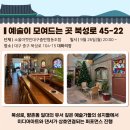 소울마켓인대구춤판협동조합 네이버블로그