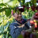 산업커피 이미지