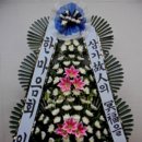 괴정1동-6 이미지