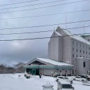 코스! 인기 최고 &#34;비에이투어&#34; 후기 - 2탄! *내돈내산...점심,흰수염폭포,후라노치즈공방,닝구르테라스)