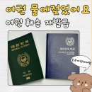 (주) 그린통상 | 실제후기 여권 물에 젖었을 때 대처법 총정리 | 여권 훼손 재발급 비용·기간·리스크 (feat. 여권과...
