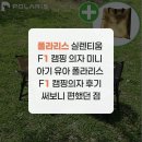 더독스 미니 | 폴라리스 실렌티움 F1 캠핑 의자 미니 아기 유아 폴라리스 F1 캠핑의자 후기 써보니 편했던 점