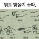 안양-안양-안양-501 이미지