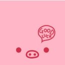 GOODLUCK 이미지