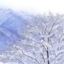 동해안 겨울바다와 은빛 눈꽃의 향연이 펼쳐지는 설악산 겨울여행 즐기기! 참가자모집해요^^(마감) 이미지