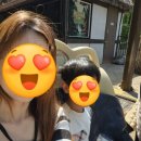 케빈의정원 | 에버랜드 홈브리지 케빈호스텔 신관 숙박｜사파리 오픈런 성공한 1박 2일 여행