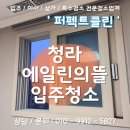 에일린비 | 청라 에일린의뜰 오피스텔 투룸 입주청소 전문가 후기