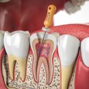 똑디치과의원 이미지