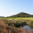 대지골프 이미지