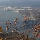 유의조농장 이미지