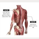 에스에스필라테스 - 서구 상무대로 960 | 에스에스필라테스