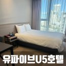 369호텔 | 서울 을지로 동대문 호텔 유파이브 U5 호텔 2박 숙박 후기