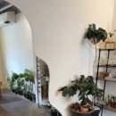 커피해요 이미지