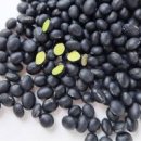 서리태콩 효능 부작용 볶은 서리태 칼로리 영양성분 이미지