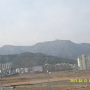 장진주유소 이미지
