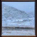 설림 | 내돈내산 횡성 독채펜션 이름값 제대로 한 설림 후기 : 강원도 인스타갬성 자쿠지펜션 추천