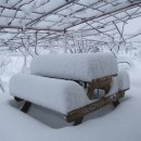 산대월리 이미지