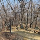 오정대공원 이미지