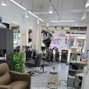 메이에르진 이미지