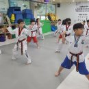 용인대다사랑태권도 이미지