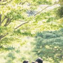웨딩스토리 이미지