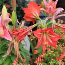 산정농장 이미지