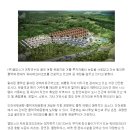 (주)엘피스 이미지