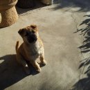 예진가족농장 이미지