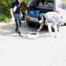 간석3동-23 이미지