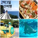 부산 여행 2박3일 코스 부담없는 일정!