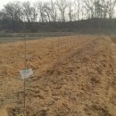 재식농장 이미지