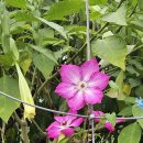 경기둘레길 가평20코스 이미지