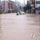 거진시내 이미지