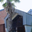 제주독채펜션 라리저브 감성펜션 이미지