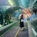 갈말도서관 | 3달 밀린걸 내가 모를까 내가 그걸 모를까