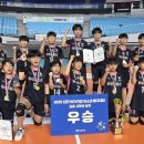 어등초교 이미지