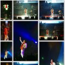 7080빅콘서트 Daum카페