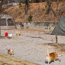 무주농협주유소 이미지