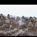 지구목장 이미지