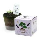 팜팜농장 이미지