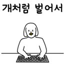 파베뉴(Pavenue) 이미지