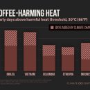 강우 컴퍼니(COMPANY) 이미지