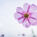북내초주암분교장 | 여주시 유치원 주소록 정보