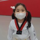 국가대표영웅태권도 이미지