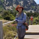 바오밥나무 민박 이미지