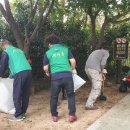 동삼3동-3 이미지