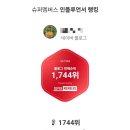 블로그 체험단 슈퍼멤버스 등급 혜택총정리 옐로우에서 블랙등급 승급 후기 노하우 꿀팁
